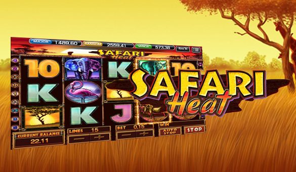 safari mega888